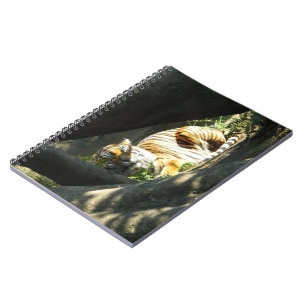 Tiger Catnap Notebook