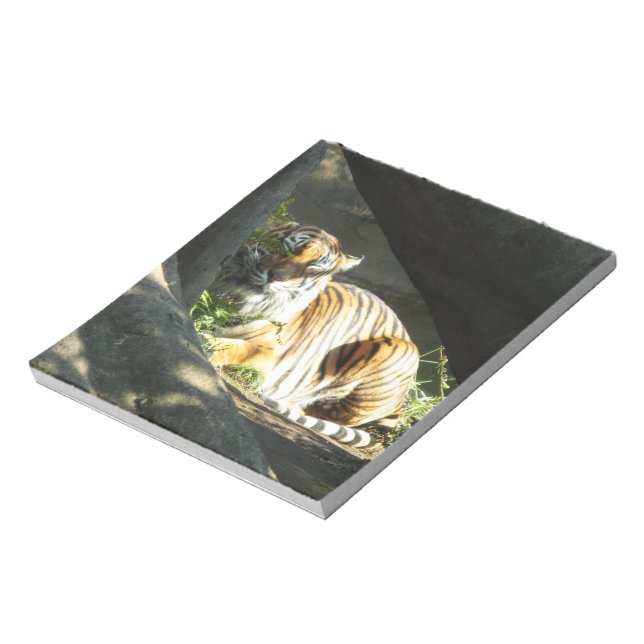 Tiger Catnap Notepad (Rotated)