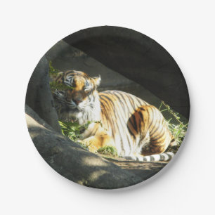 Tiger Catnap Paper Plate