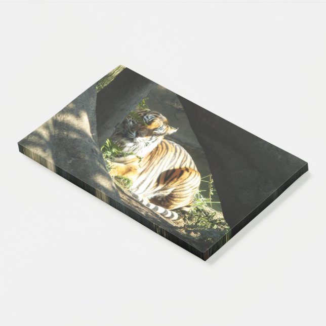 Tiger Catnap Post-it Notes (Angled)
