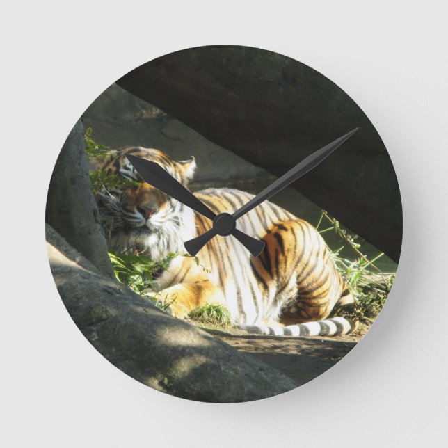 Tiger Catnap Round Clock (Front)
