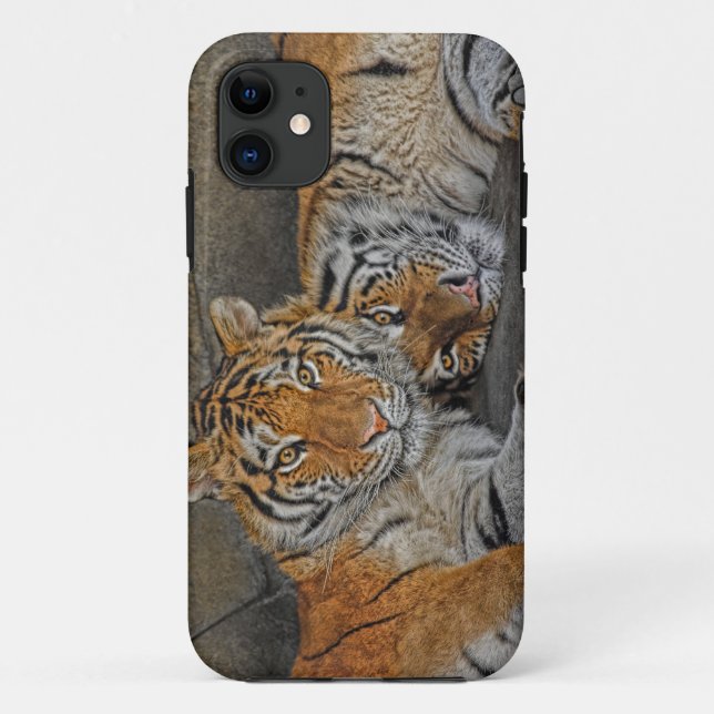 Tiger Cave Case-Mate iPhone Case (Back)