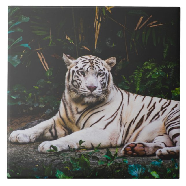 Tiger Ceramic Tile (Front)