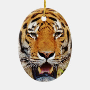 Tiger Ceramic Tree Decoration