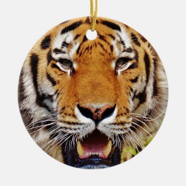 Tiger Ceramic Tree Decoration (Front)