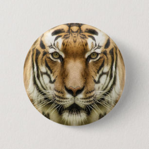 Tiger Close-Up buttons