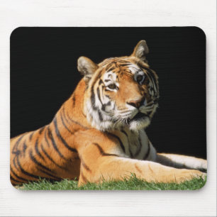 Tiger Closeup Mouse Mat