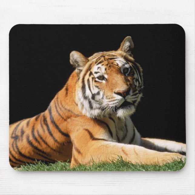 Tiger Closeup Mouse Mat (Front)