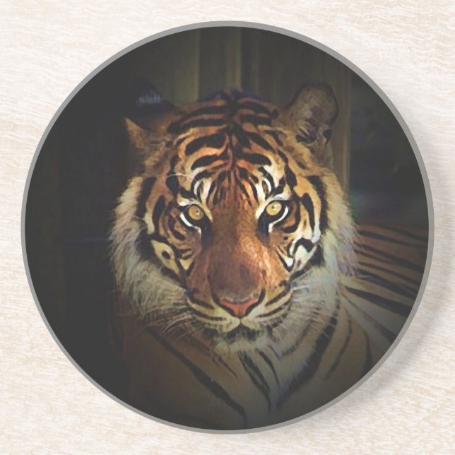 Tiger Coaster (Front)