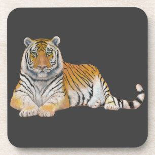 Tiger Coaster