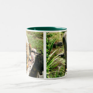 Tiger Coffee Mug