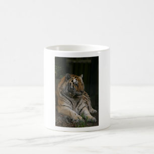Tiger Coffee Mug