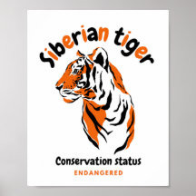 Tiger cool big cat endangered species awareness