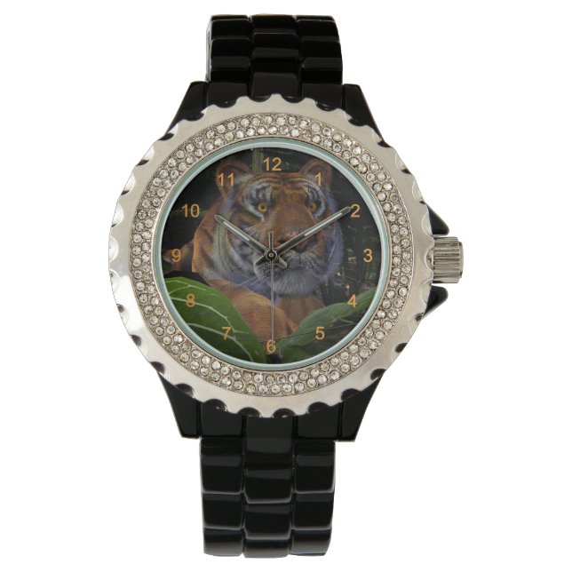 Tiger Crouching in the Jungle Watch (Front)
