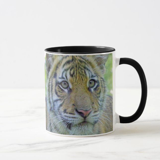 Tiger Cub Close Up Portrait Mug (Right)