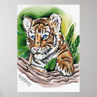 Tiger Cub – Hand Drawn Colored Pencil Illustration Poster