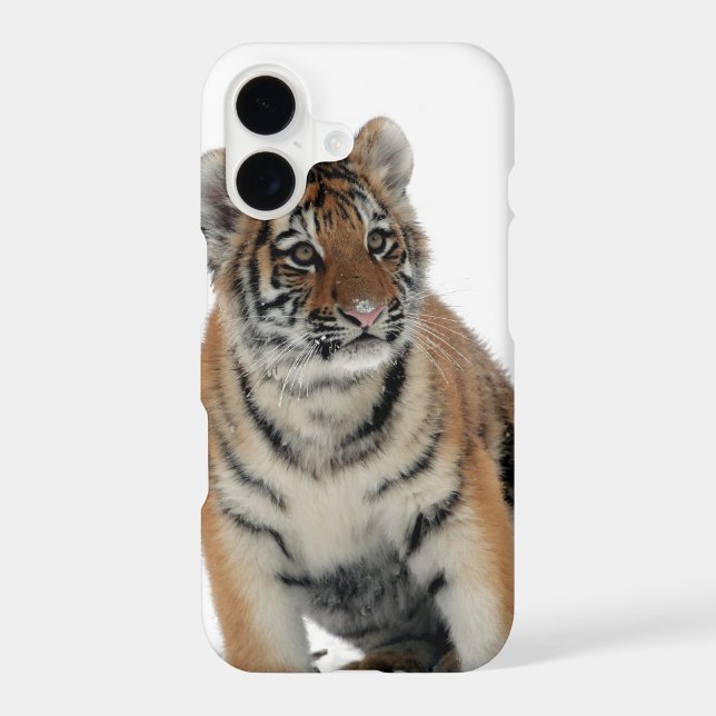 Tiger Cub in the Snow Photo (Back)