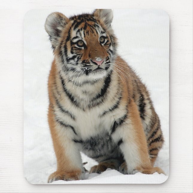 Tiger Cub in the Snow Photo Mouse Mat (Front)