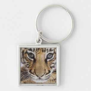 Tiger Cub Key Ring