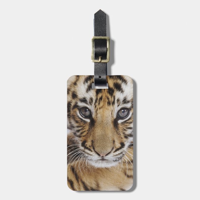 Tiger Cub Luggage Tag (Front Vertical)