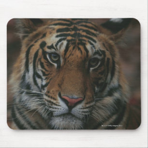 Tiger Cub Mouse Mat