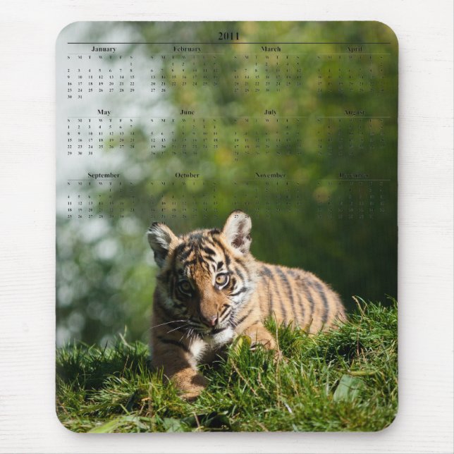 Tiger Cub Mouse Mat (Front)