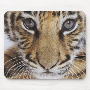 Tiger Cub Mouse Mat