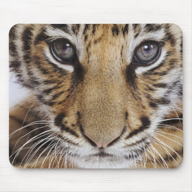 Tiger Cub Mouse Mat (Front)