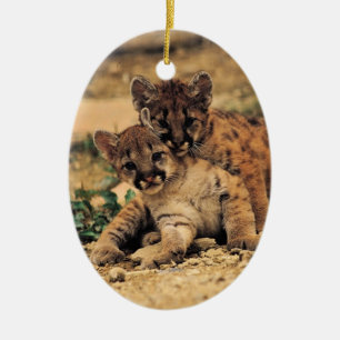 Tiger Cub ornament