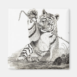 Tiger cub playing magnet