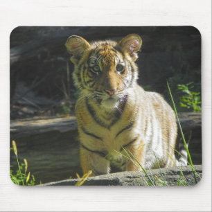 Tiger Cub Portrait 4 Mouse Mat