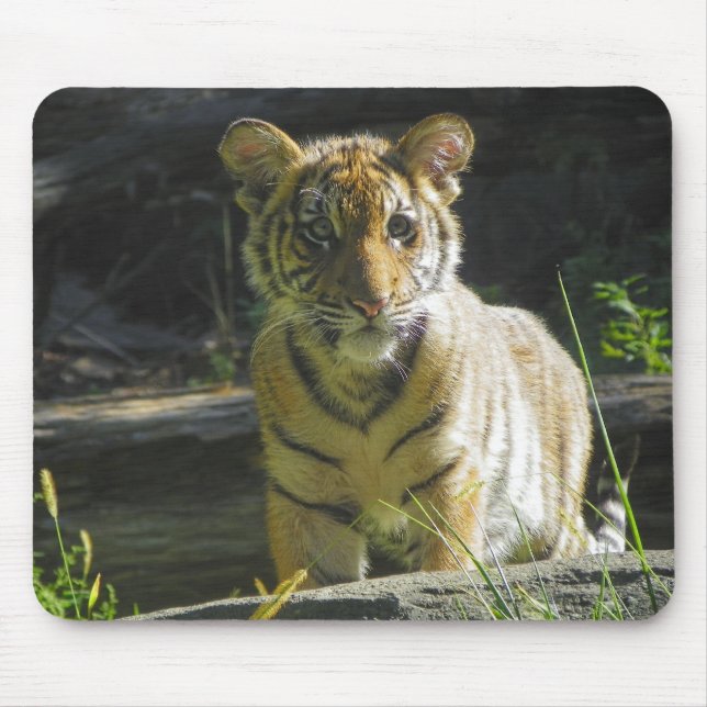 Tiger Cub Portrait 4 Mouse Mat (Front)