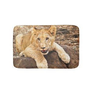 Tiger Cub Takes Breather On A Rock Bath Mat