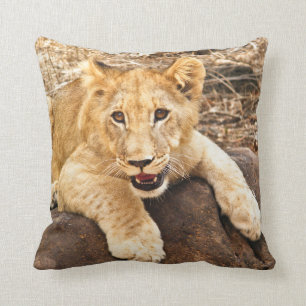 Tiger Cub Takes Breather On A Rock Cushion