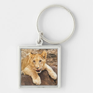 Tiger Cub Takes Breather On A Rock Key Ring