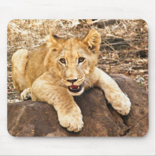 Tiger Cub Takes Breather On A Rock Mouse Mat