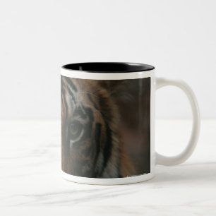 Tiger Cub Two-Tone Coffee Mug