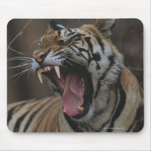 Tiger Cub Yawning Mouse Mat