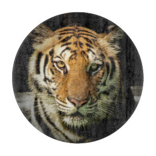 tiger cutting board