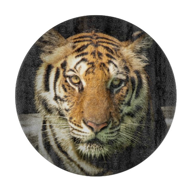 tiger cutting board (Front)