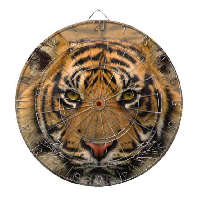 Tiger Dartboard (Front)