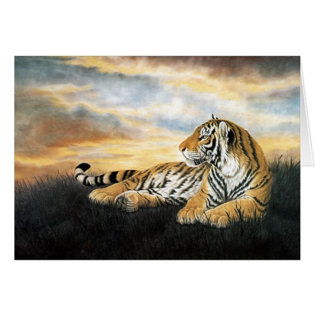 Tiger Dawn (Front Horizontal)