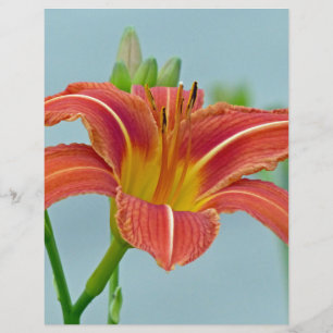 Tiger Daylily Letterhead Design