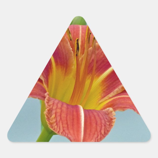 Tiger Daylily Triangle Sticker (Front)