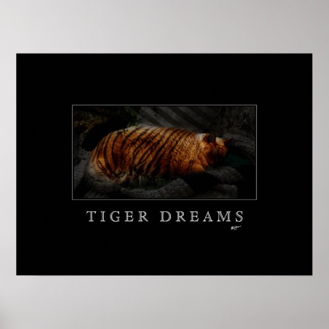Tiger Dreams Poster (Front)