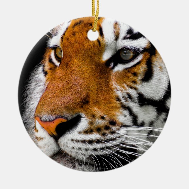 Tiger Eyes Ceramic Tree Decoration (Front)