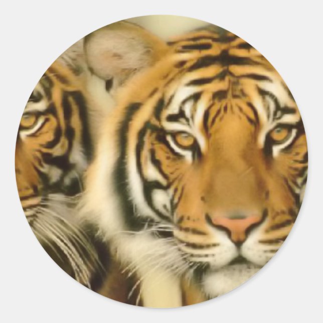 Tiger Eyes Classic Round Sticker (Front)