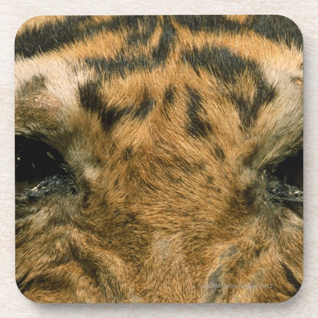 Tiger eyes coaster (Front)