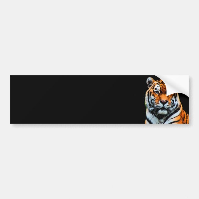 Tiger Eyes Inspirational Bumper Sticker (Front)