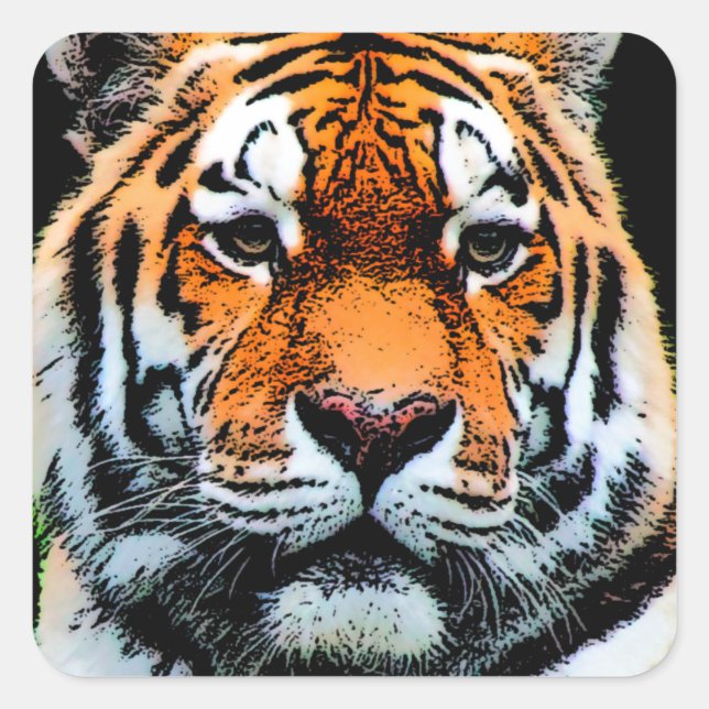 Tiger Eyes Inspirational Square Sticker (Front)